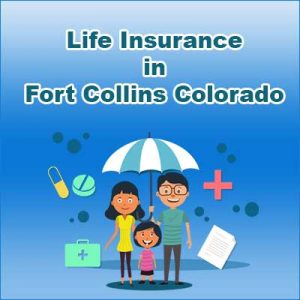 Cheap Life Insurance Quotes Fort Collins  Colorado
