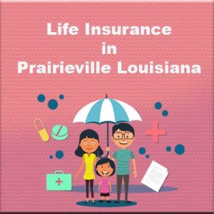 Affordable Life Insurance Quotes