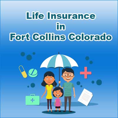 Cheap Life Insurance Quotes Fort Collins Colorado