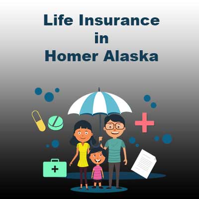 Low Cost Life Insurance Rates Homer Alaska