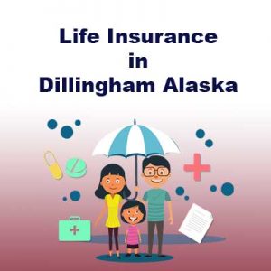 Economical Life Insurance Policy Dillingham Alaska