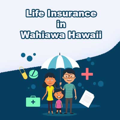 Affordable Life Insurance Policy Wahiawa Hawaii