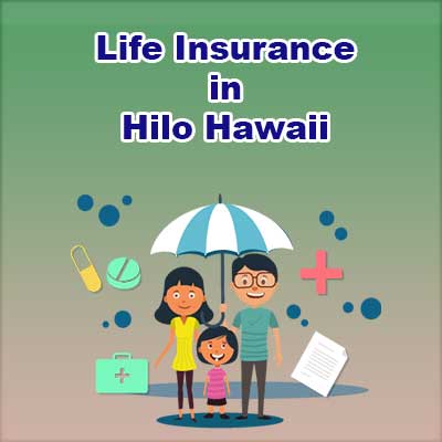 Cheap Life Insurance Quotes Hilo Hawaii
