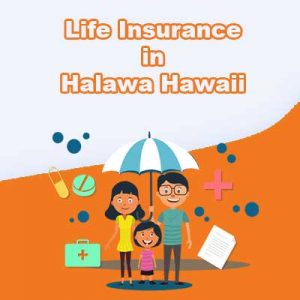 Economical Life Insurance Policy Halawa  Hawaii