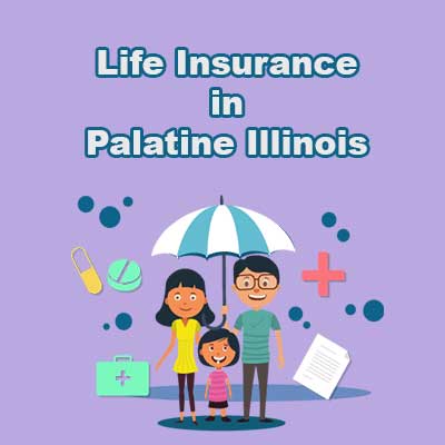 Affordable Life Insurance Prices Palatine Illinois